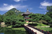 世界短跑社区导师扶持计划第65批资助名单公布，世界短跑比赛