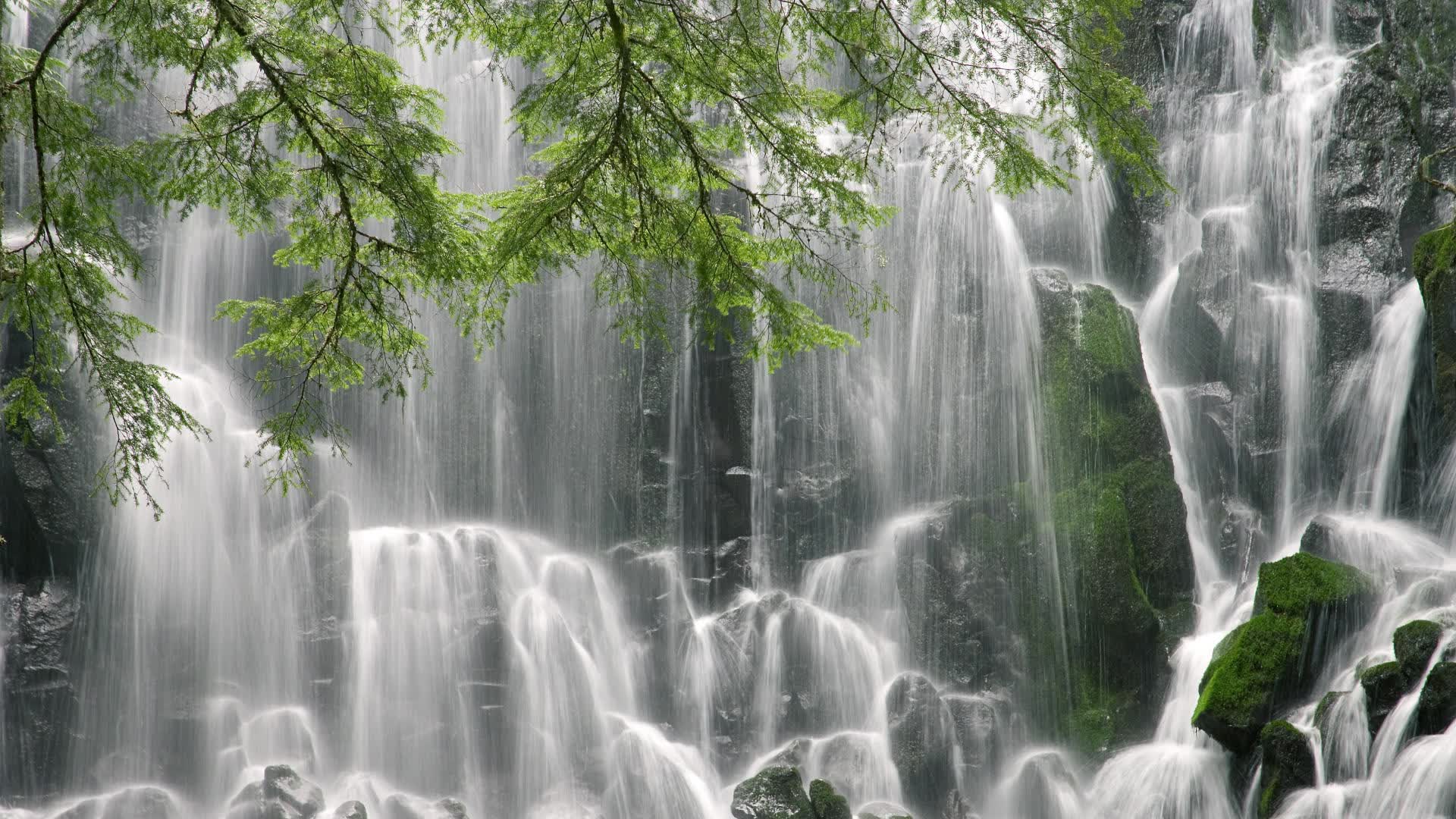 世界杯赛后球员素质提升公益项目启动仪式，世界杯参赛球员要求